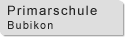 Primarschule Bubikon